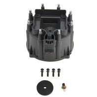 Verdeelkap 1985/1991 (Reproductie)