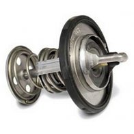 Thermostaat 160 degree  2004/2008